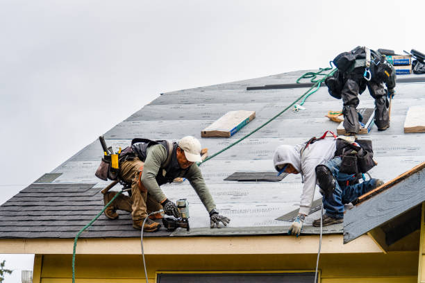 Professional Gutter Installation technician working in Galveston, TX